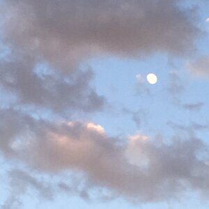 Meet your Posher, Evan